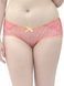 Трусики сліп Curvy Kate CK3703 з середньою посадкою CK3703_мак фото 2