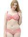 Трусики сліп Curvy Kate CK3703 з середньою посадкою CK3703_мак фото 1
