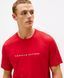 Мужская пижама Tommy Hilfiger 563333350 футболка, штаны 563333350 фото 3