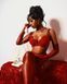 Пояс для чулок Victoria's Secret 381151962 красный 381151962 фото 9