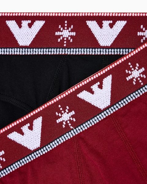 Набір чоловічих трусів Emporio Armani 735407236 Бріфи 2шт 735407236 фото