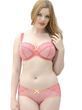 Трусики слип Curvy Kate CK3703 со средней посадкой CK3703_мак фото