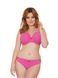 Трусики слип Curvy Kate CK4605 со средней посадкой CK4605_журавлина фото 1