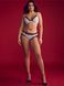 Комлпект білизни Victoria's Secret 224684870 бюстгальтер і трусики чіки 224684870 фото 1