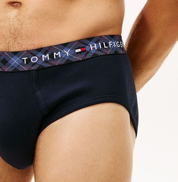 Набор мужских брифов (4 шт) TOMMY HILFIGER 182023374 182023374 фото