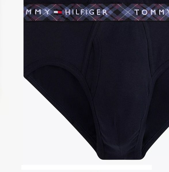 Набор мужских брифов (4 шт) TOMMY HILFIGER 182023374 182023374 фото