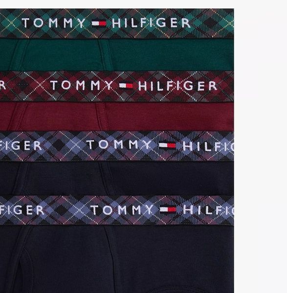 Набор мужских брифов (4 шт) TOMMY HILFIGER 182023374 182023374 фото