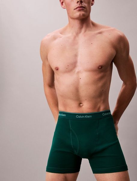 Набір чоловічих боксерів (5 шт) Calvin Klein 894381222 894381222 фото