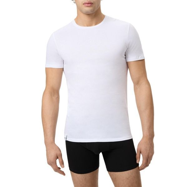 Набор мужских футболок Lacoste 613713436 613713436 фото