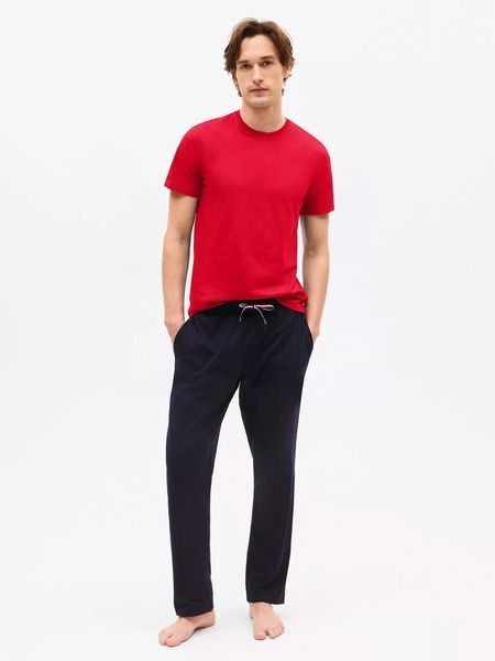 Набір чоловічих футболок (3 шт) TOMMY HILFIGER 352840800 352840800 фото