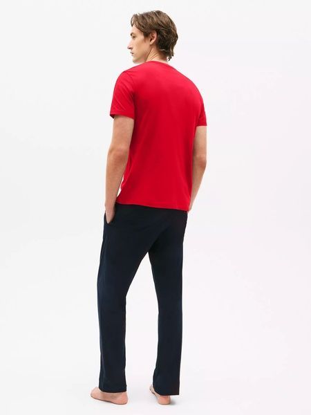 Набір чоловічих футболок (3 шт) TOMMY HILFIGER 352840800 352840800 фото