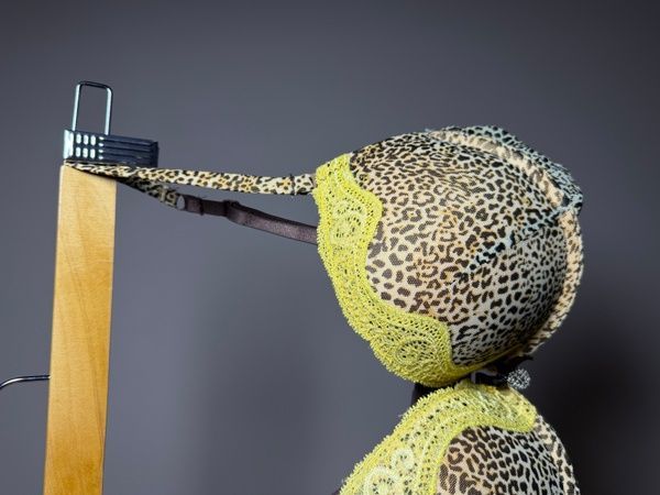 Бюстгальтер з формованими чашками Lauma 60103 на кісточках 60103_набивний фото