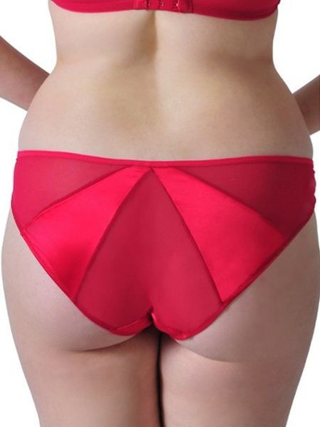 Трусики сліп Scantilly ST2305 з середньою посадкою ST2305_малиновий фото