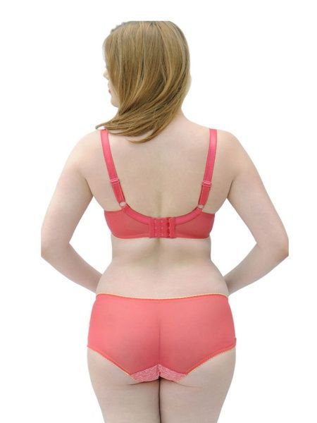 Трусики слип Curvy Kate CK3703 со средней посадкой CK3703_мак фото